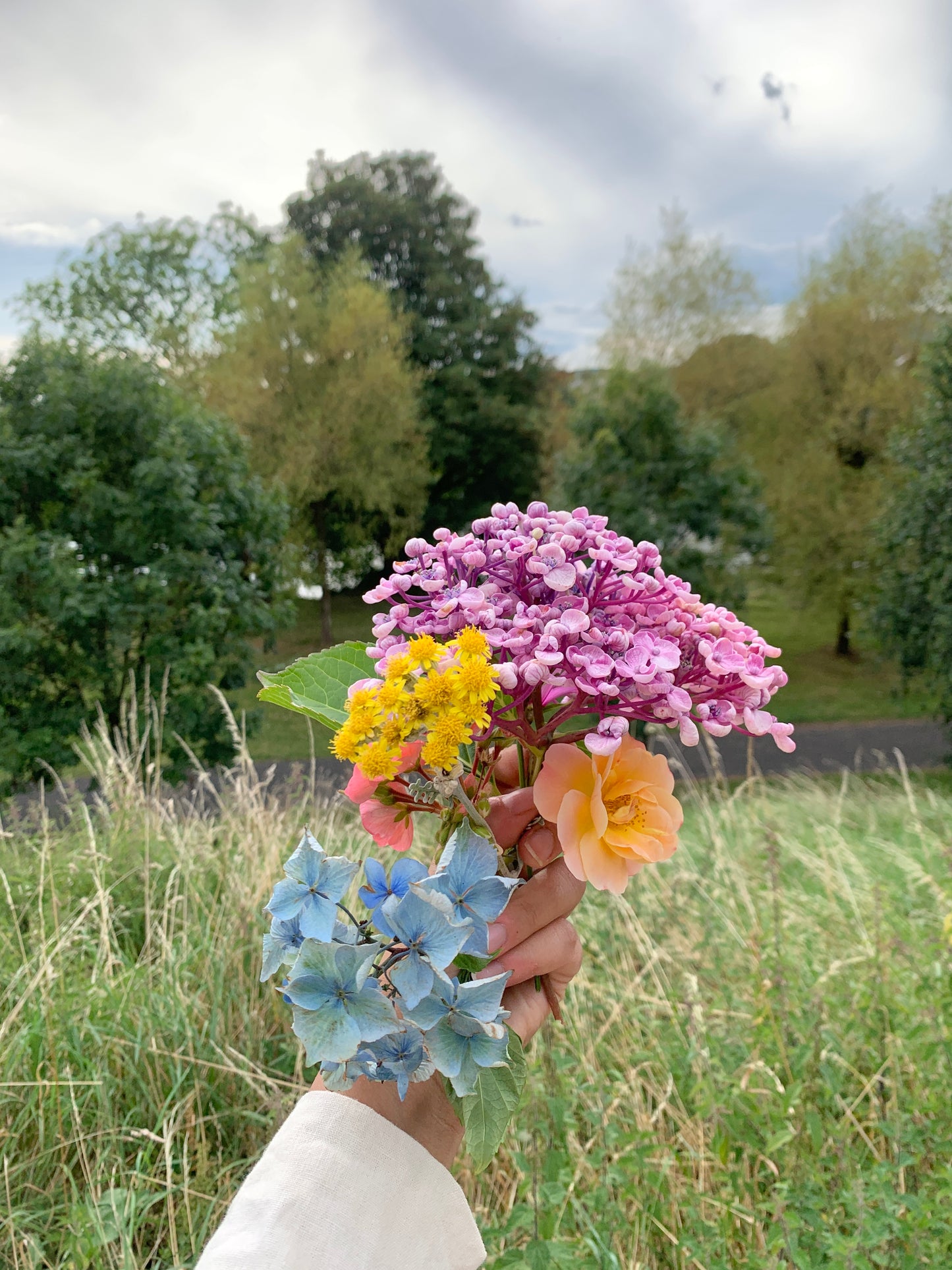 Summer in Killaloe